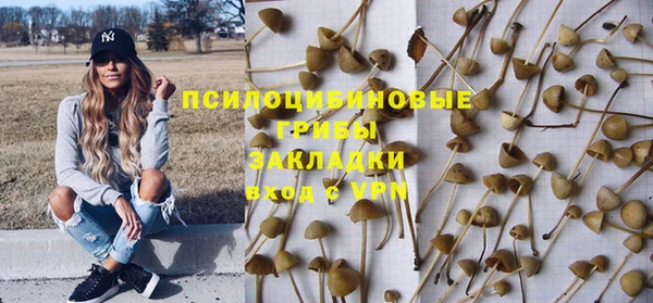 прущий лед Медногорск