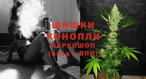 mdpv Кострома
