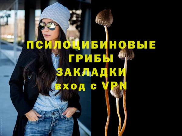 а пвп мука Медвежьегорск