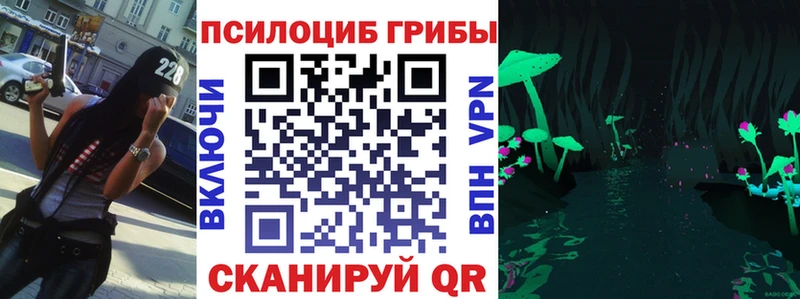 Псилоцибиновые грибы Magic Shrooms  продажа наркотиков  Екатеринбург 